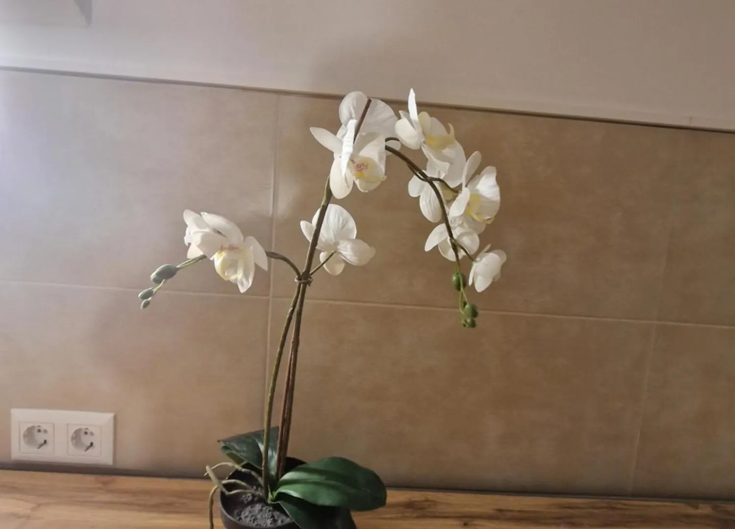 Gent Apt Vienna Austria